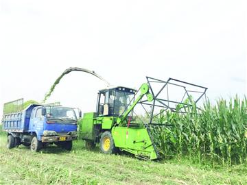 青島加速建設(shè)全國主要農(nóng)作物生產(chǎn)全程機械化示范市 農(nóng)業(yè)機械制造迎來新機遇